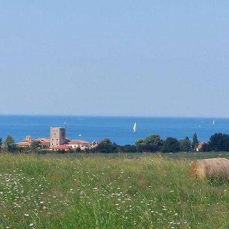 Apartments Henc Novigrad Istria 外观 照片