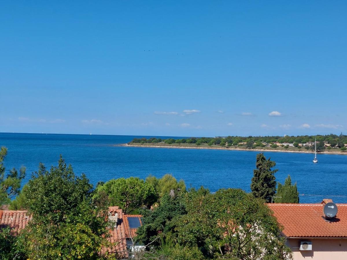 Apartments Henc Novigrad Istria 外观 照片