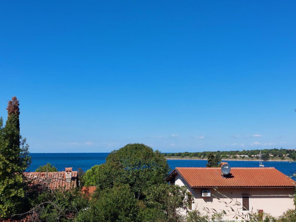 Apartments Henc Novigrad Istria 外观 照片