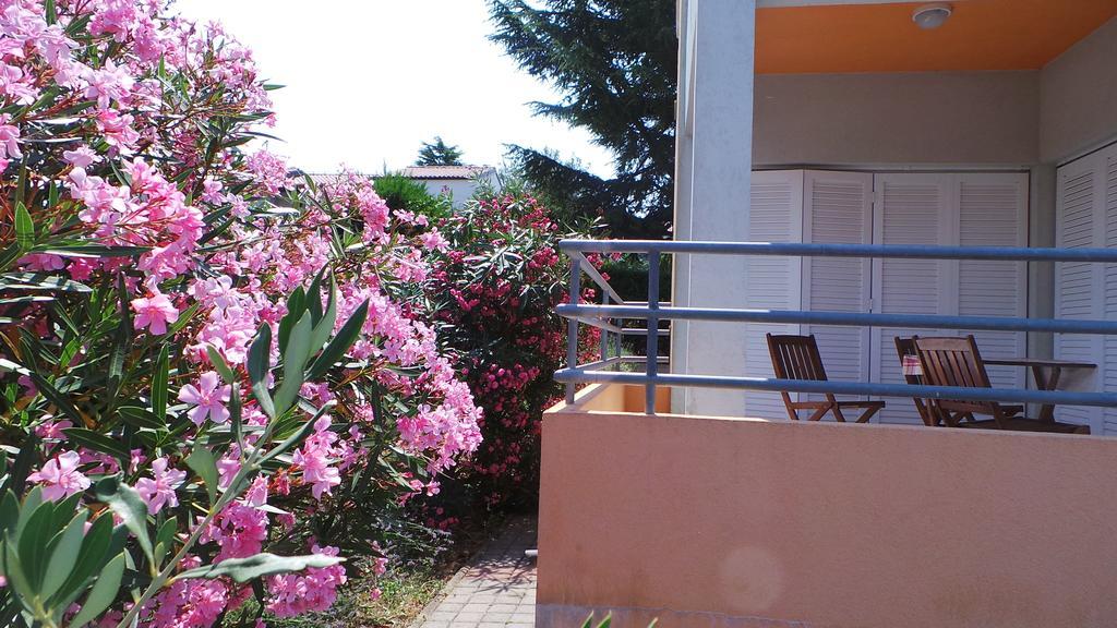 Apartments Henc Novigrad Istria 客房 照片