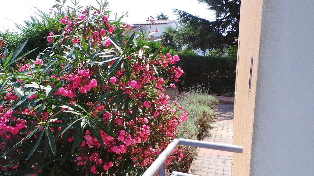 Apartments Henc Novigrad Istria 外观 照片