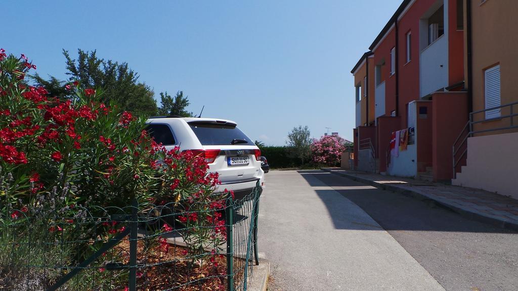Apartments Henc Novigrad Istria 外观 照片
