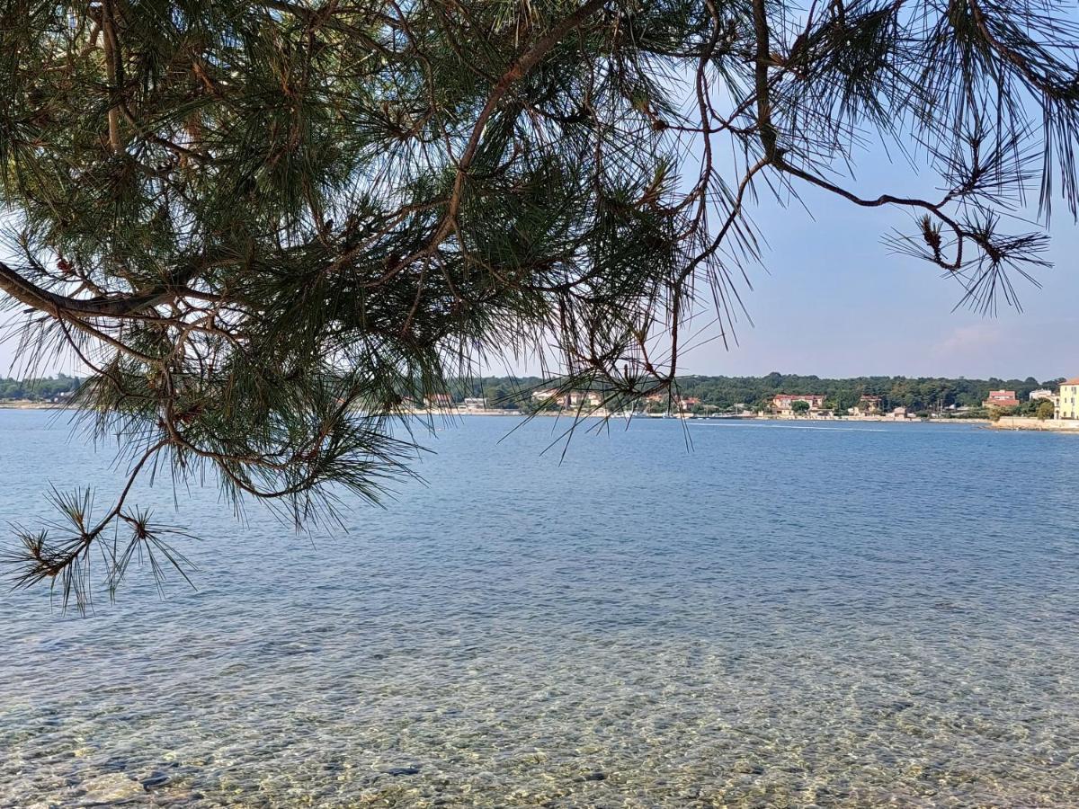 Apartments Henc Novigrad Istria 外观 照片