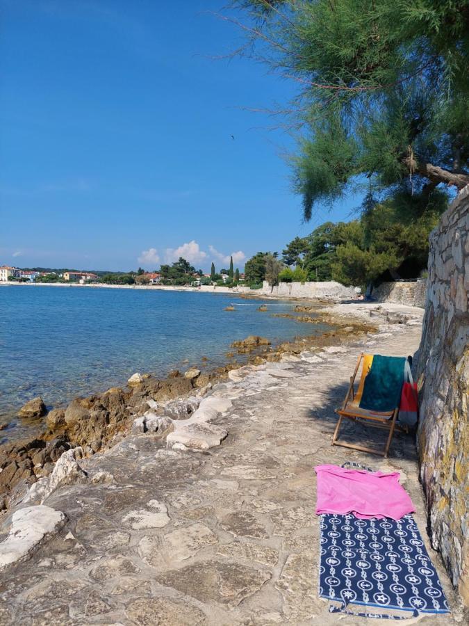 Apartments Henc Novigrad Istria 外观 照片