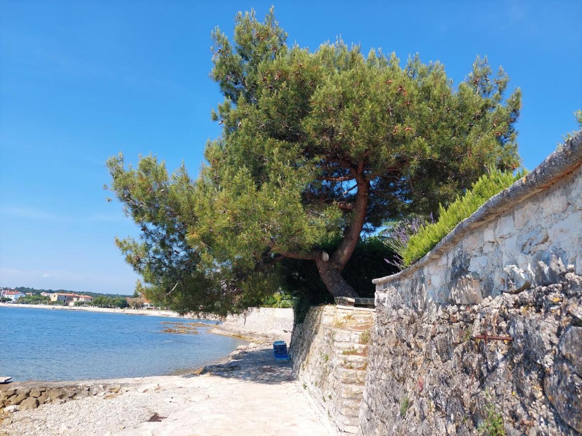 Apartments Henc Novigrad Istria 外观 照片