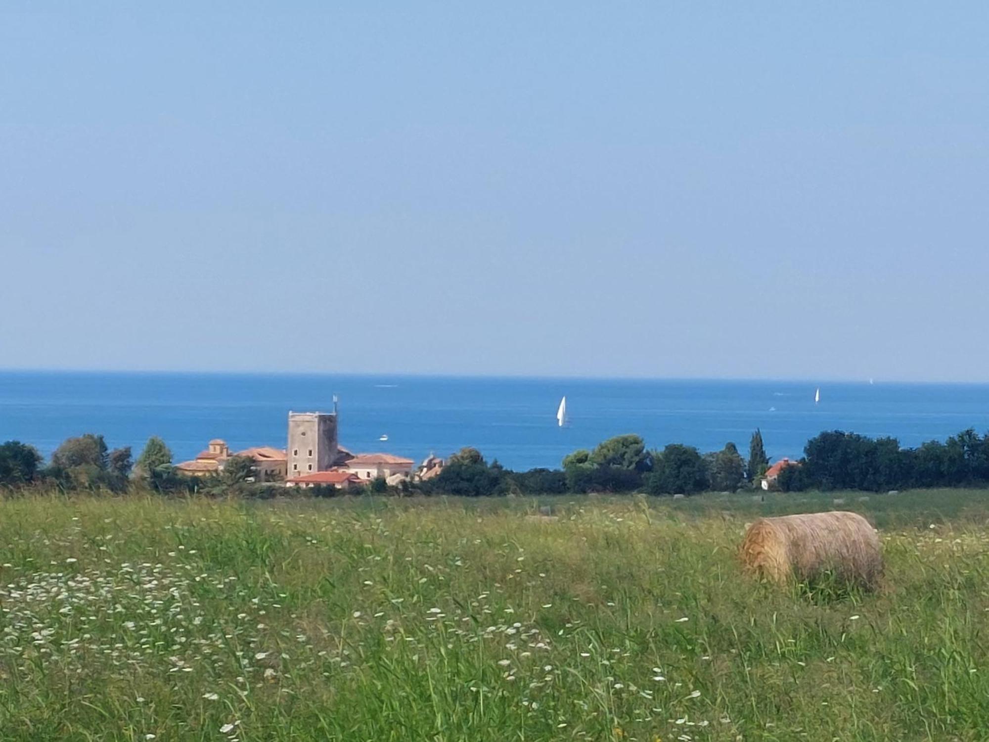 Apartments Henc Novigrad Istria 外观 照片