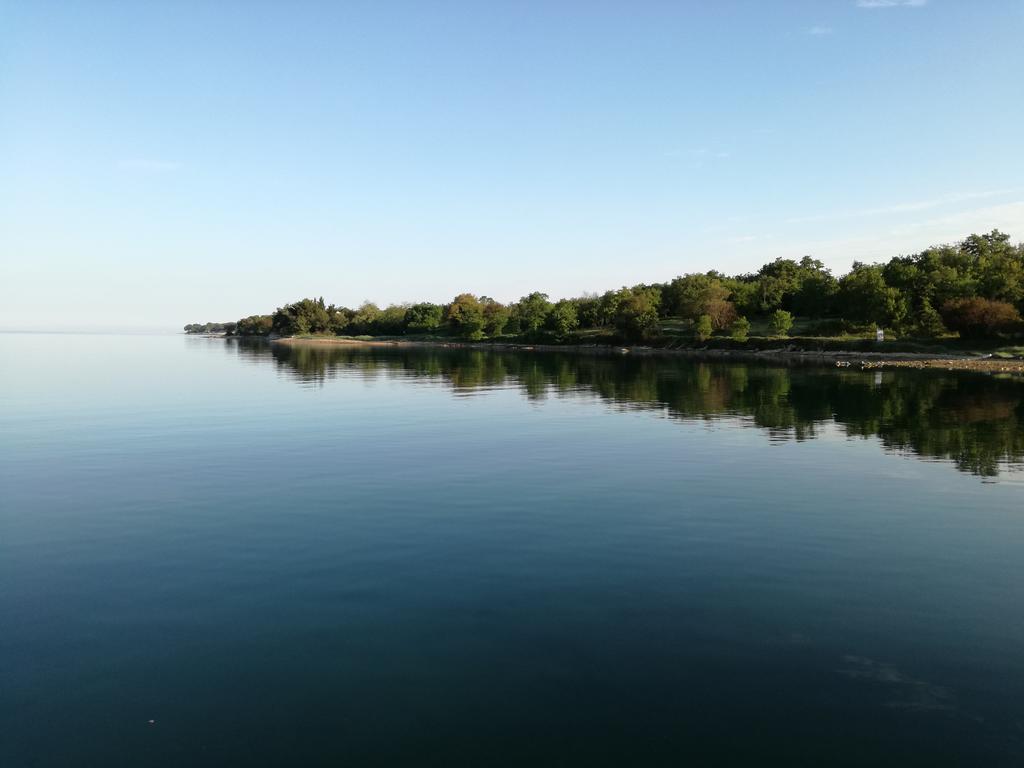 Apartments Henc Novigrad Istria 外观 照片